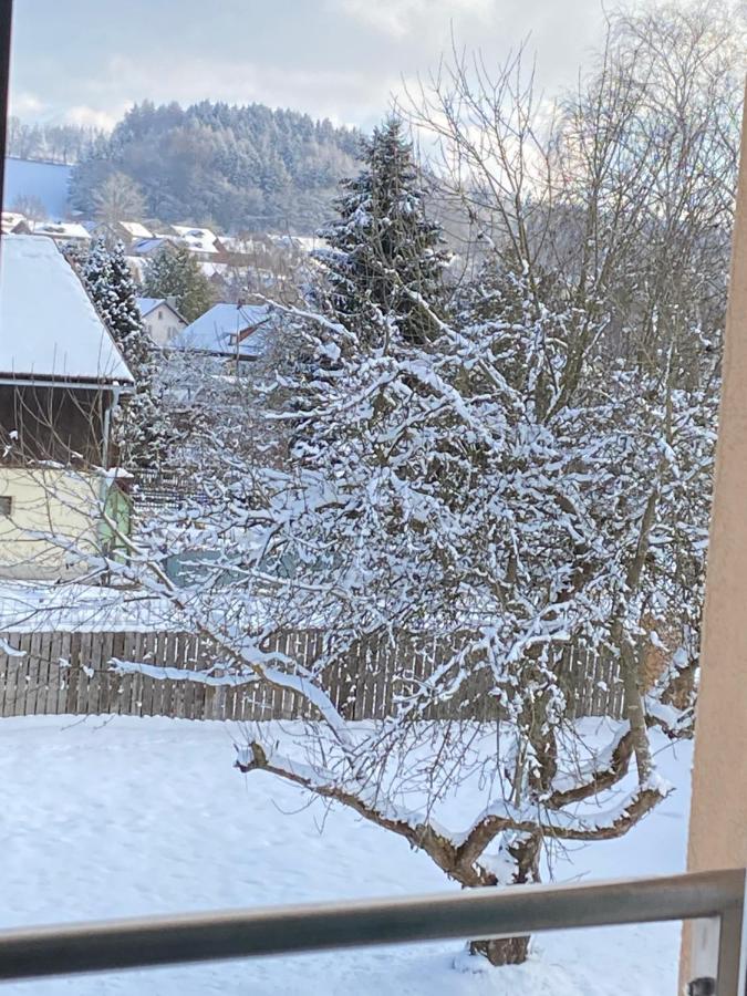 Grosszuegig Und Komfortabel:Ferienwohnung Im Bayerischen Wald! Wiesenfelden Bagian luar foto